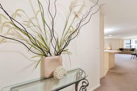 Oceanside Apartment Mount Maunganui Exterior photo